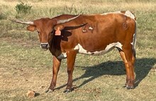 TO TALK TO ME JACKIE